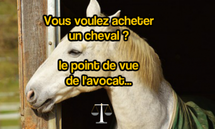 site de rencontre passion cheval