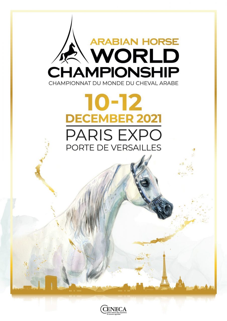 Championnat du Monde du Cheval Arabe : &quot;Une grande finale au cœur de Paris  &quot; - ABC du Cheval