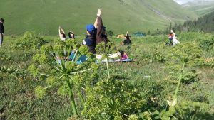 Yoga et Cheval