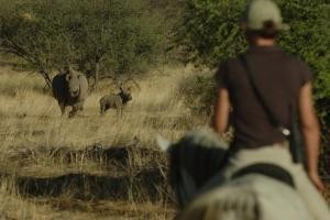 safari namibie