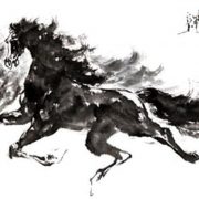 chevaux en fuite