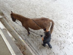 Longues Rênes Tete au mur