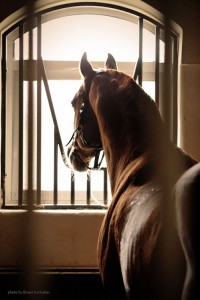 6a5567d6a579966bb67d999f57e306d6