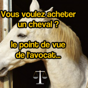 Article avocat acheter un cheval