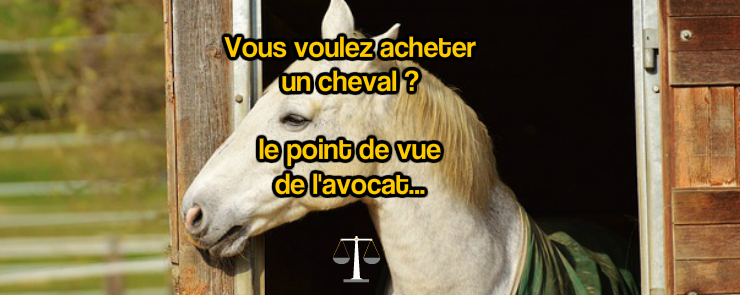 Article avocat acheter un cheval
