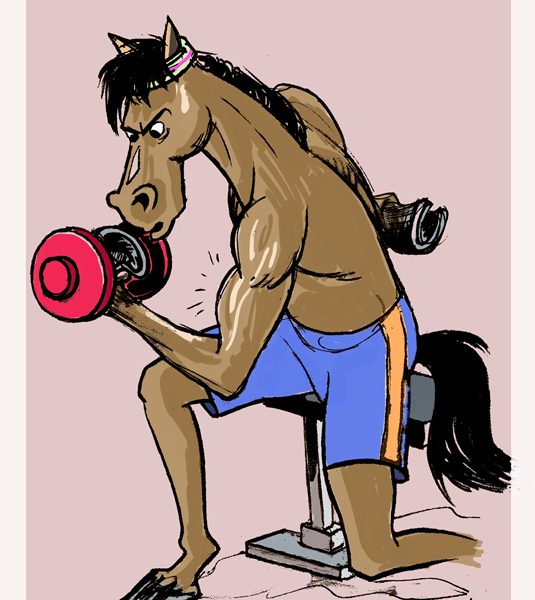 Cheval-sportif---Damien-Millereau
