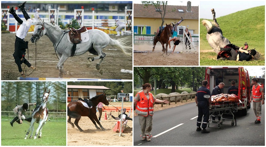 L'équitation : est-ce vraiment un sport ?