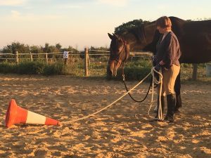 Longues Rênes : débourrer en toute sécurité