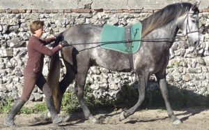 Longues Rênes et confiance
