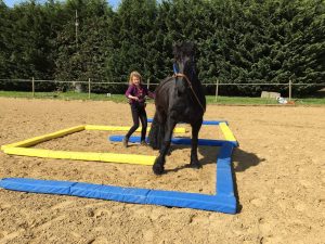 Longues Rênes : s amuser