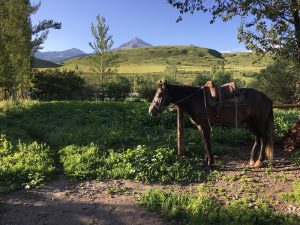 Randonnée Kirghizistan : Départ de notre premier périple dans la montagne