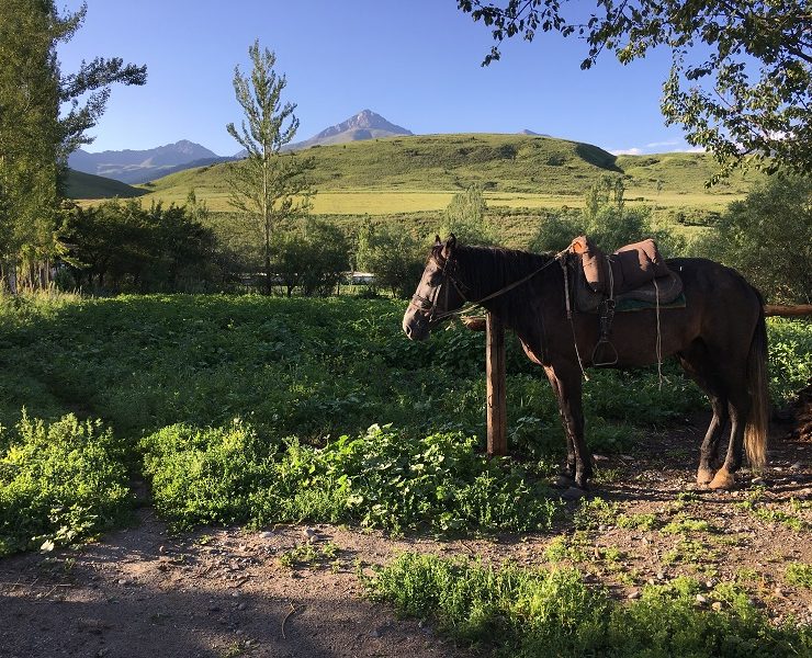 Randonnée Kirghizistan : Départ de notre premier périple dans la montagne