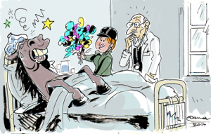 Maladies-du-cheval--Damien-Millereau