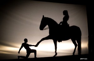 Metamorphoses-Ombres et lumières