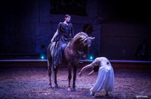 Metamorphoses-acrobatie