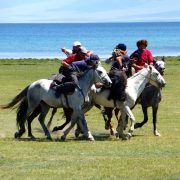VOyage Yoga et Cheval
