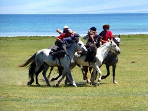 VOyage Yoga et Cheval
