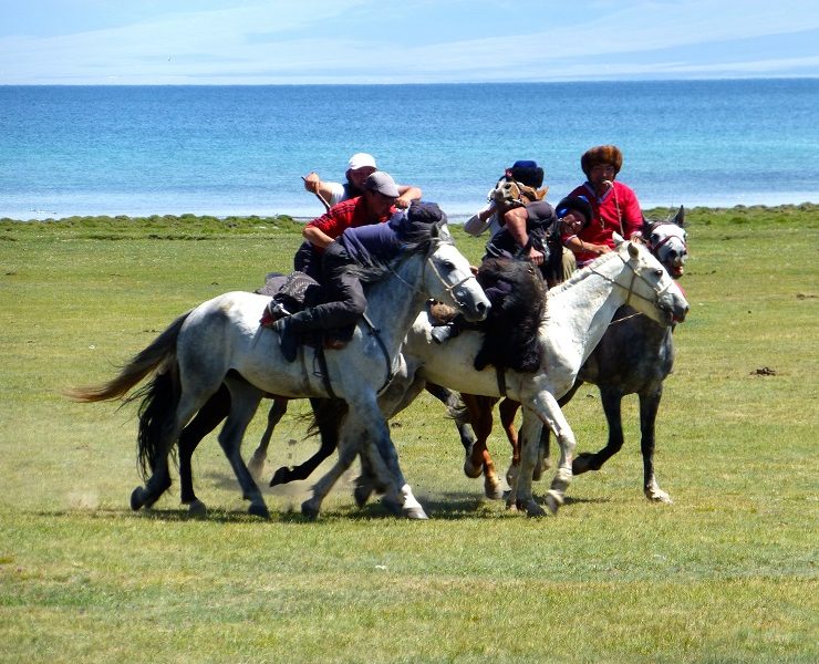 VOyage Yoga et Cheval