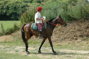 Olivo et moi même sur une épreuve d'orientation Le Parcours d'Orientation... des purs moment de bonheur et de complicité partagée au fil des km parcourus ensemble.