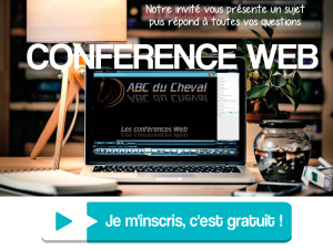 Les Conférences Web