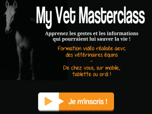 Pub_abc_MyVetMasterclass