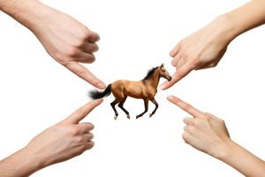 accuser_lecheval Longues Rênes