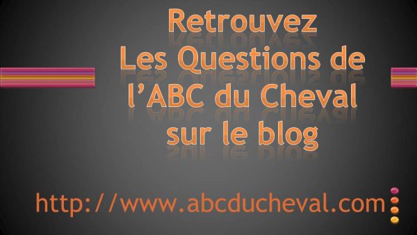 Les questions de l'ABC du Cheval
