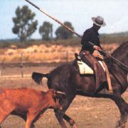 doma vaquera