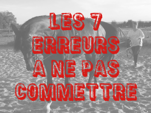 les7erreurs aux Longues Rênes