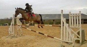 Richesse de Flavigny, Poney Français de Selle