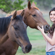 cout_cheval_quizz_equitation